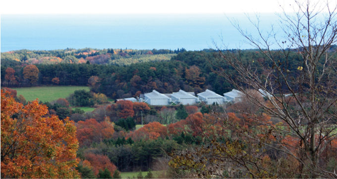 田野畑村のたまご農場