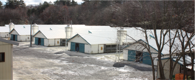岩手がもと田野畑村