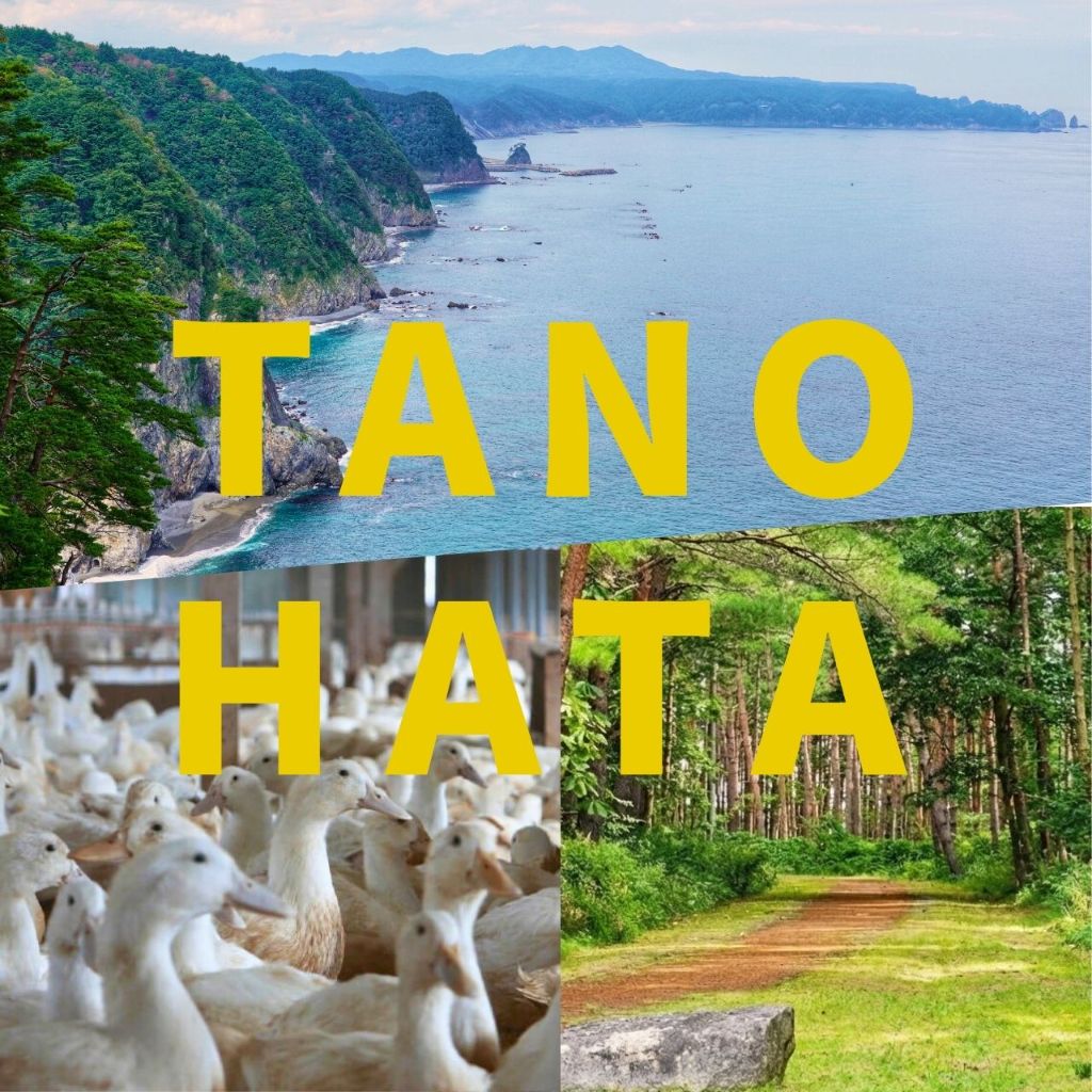 田野畑村